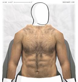 Torso